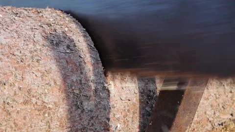 Process of sawing a log with a hand saw Stock Footage 167322661