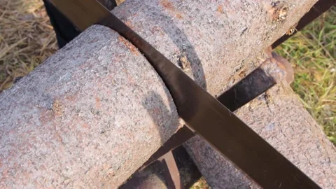 Process of sawing a log with a hand saw Stock Footage 167322686
