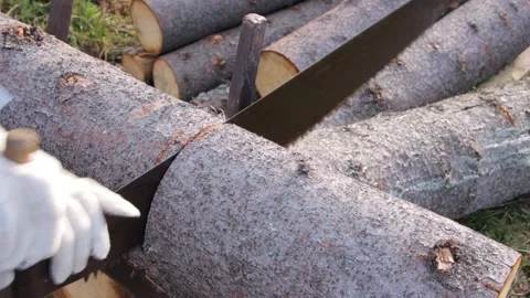 Process of sawing a log with a hand saw Stock Footage 167322693
