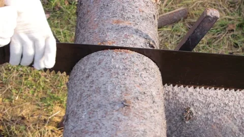 Process of sawing a log with a hand saw Stock Footage 167322696