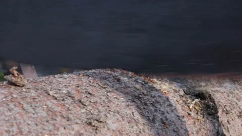 Process of sawing a log with a hand saw Stock Footage 167322699