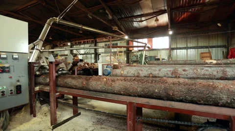 Process of sawing. Log moves along conveyor belt Stock Footage 61334768