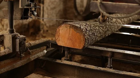 The process of sawing logs at the sawmill. Stock Footage 129085627