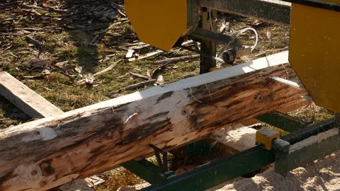 The process of sawing logs at the sawmill. Sawing logs on the board. Video stock 120053921