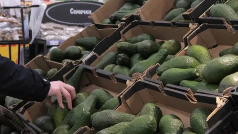 The process of selecting avocados in the supermarket Stock Footage 232753606