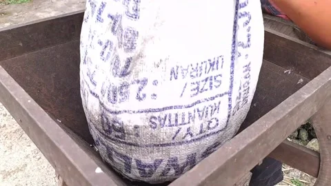 The process of separating the coffee beans from the skin Stock Footage 238425778