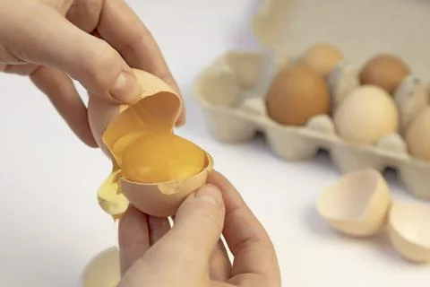 The process of separating the yolk from the protein. Tray of chicken eggs. Stock Photos