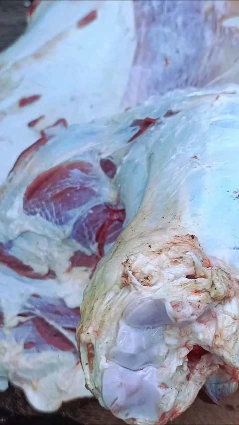 The process of skinning beef Stock Footage 282880670