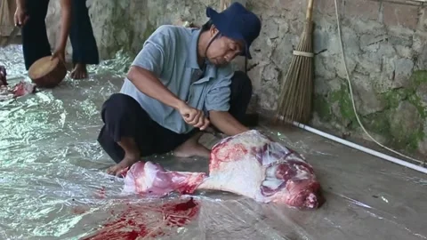 The process of slicing the meat of the Eid al-Adha sacrifice Video stock 278237006