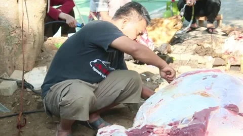 The process of slicing the meat of the Eid al-Adha sacrifice Video stock 278237032