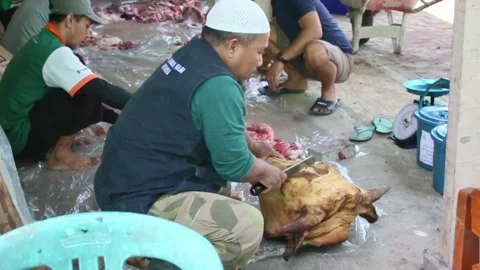 The process of slicing the meat of the Eid al-Adha sacrifice Video stock 278237192
