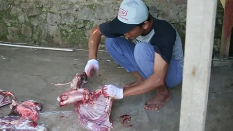 The process of slicing the meat of the Eid al-Adha sacrifice Video stock 278237250