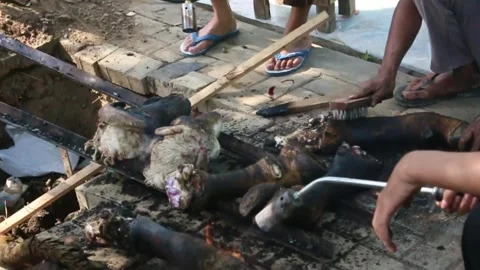 The process of slicing the meat of the Eid al-Adha sacrifice Video stock 280216021