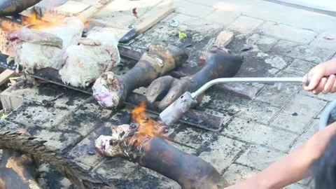 The process of slicing the meat of the Eid al-Adha sacrifice Stock Footage 280216025