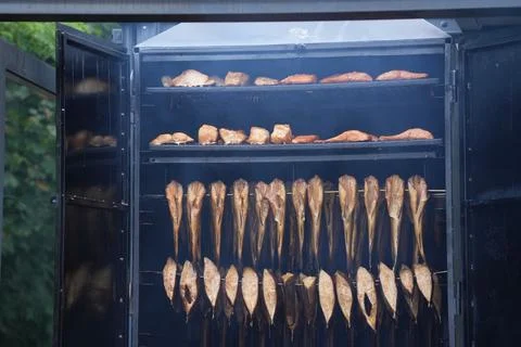 The process of smokehouse is shown, both suspended (whole fish) and on grat.. Stock Photos