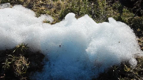 The process of snow melting in the spring forest Stock Footage 258835370