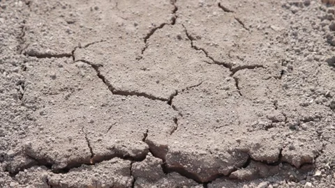 The process of soil cracking under hot sunlight Video stock 258848031