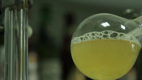 The process of solution boiling in a flask in a chemical laboratory. Stock Footage 75569670