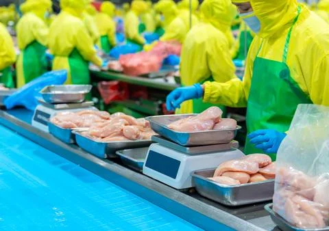 Process of sorting and preparing meat products in a hygienic industrial foo.. Stock Photos