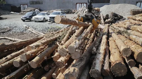 Process Of Stacking Timber Material In Pile By Industrial Logging Machine Crane Stock Footage 171970726