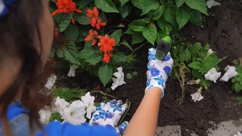 The process of taking cake of the plants, flowers, loosening the soil Stock Footage 103024637