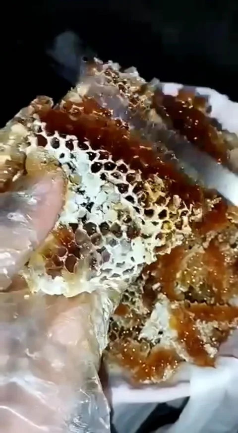 Process of taking honey Stock Footage 232360898
