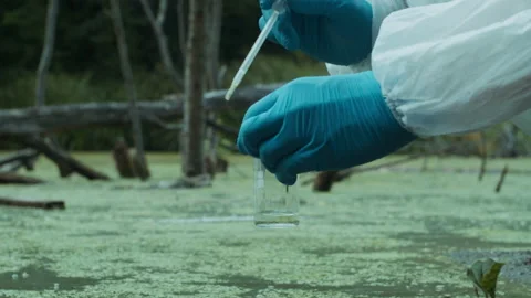 Process of taking water analysis from swamp, using flask and pipette, wearing Stock Footage 159417609