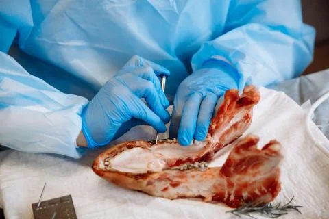 The process of training in dentistry. Foto stock
