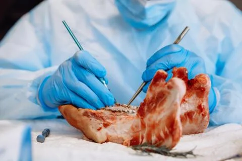 The process of training in dentistry. Stock Photos