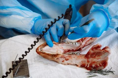 The process of training in dentistry. Stock Photos