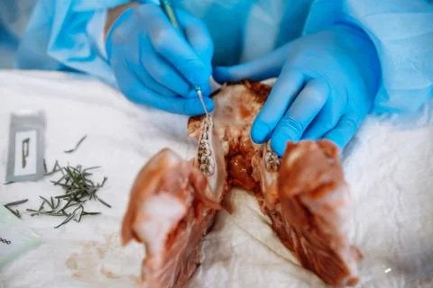 The process of training in dentistry. Foto stock