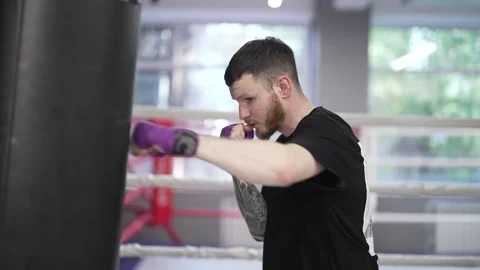 Process of training a male boxer | Stock Video | Pond5