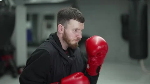 Process of training a male boxer, slow m... | Stock Video | Pond5