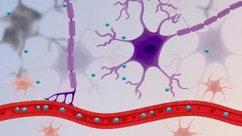 The process of transformation of genes with DNA sequences into functional pro Stock Illustration