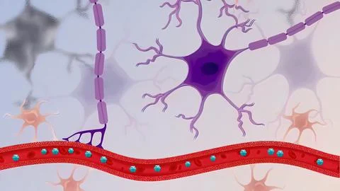The process of transformation of genes with DNA sequences into functional pro Stock Illustration
