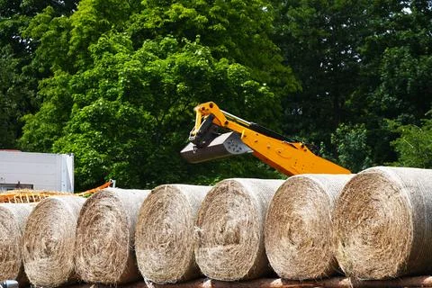 The process of transporting or storing harvested hay using machinery Stock Photos