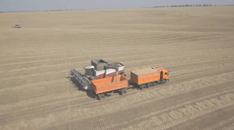 Process of unloading combine hopper into back of a truck on field Stock Footage 64258317