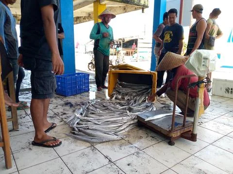 Process of unloading layur fish Stock Photos