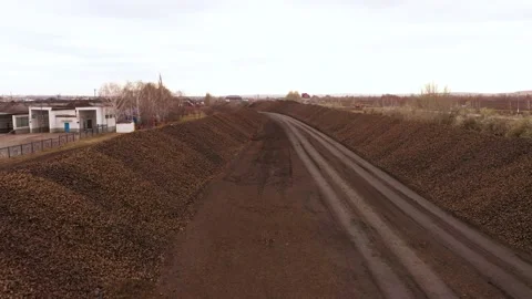 The process of unloading sugar beets. Heap of licorice. The movement of trucks Stock Footage 169073381