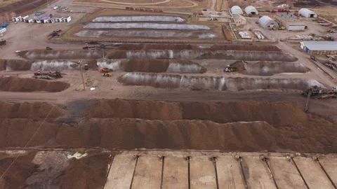 The process of unloading sugar beets. Heap of licorice. The movement of trucks Video stock 170669442