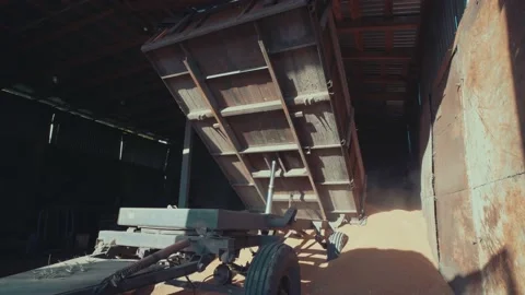 Process of unloading wheat in granary. Grain warehouse storage. Agriculture Stock-Footage 229901596