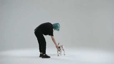 Process of using go marker with sit marker in French bulldog training Stock Footage 242077046