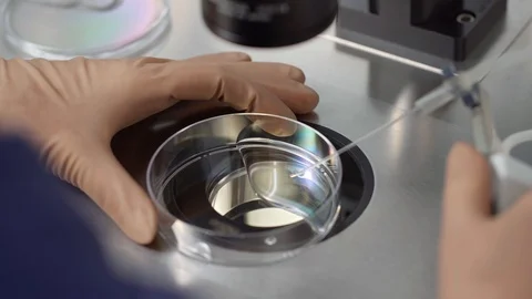 Process of in vitro fertilization in laboratory Stock Footage 114191967