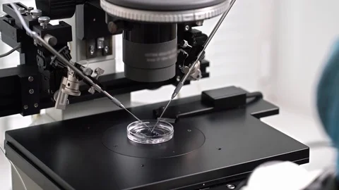 Process of in vitro fertilization in laboratory Stock Footage 114192208