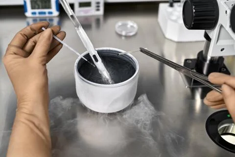 Process of in vitro fertilization in laboratory Stock Photos