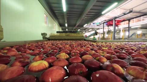 The process of washing apples in a fruit production plant Stock Footage 260916577