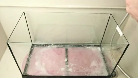 The process of washing off the aquarium glass Stock Footage 251211502