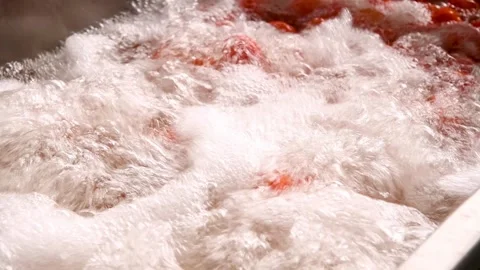 The process of washing tomatoes at an agricultural processing plant. Stock Footage 342389386