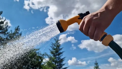 The process of watering dry soil and plants during the summer heat Stock Footage 344819160