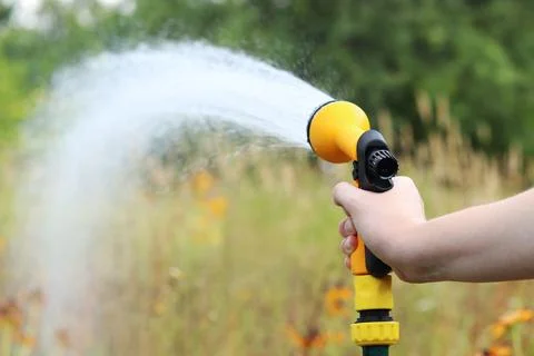 The process of watering a garden or vegetable garden with water from a hose.. Photos